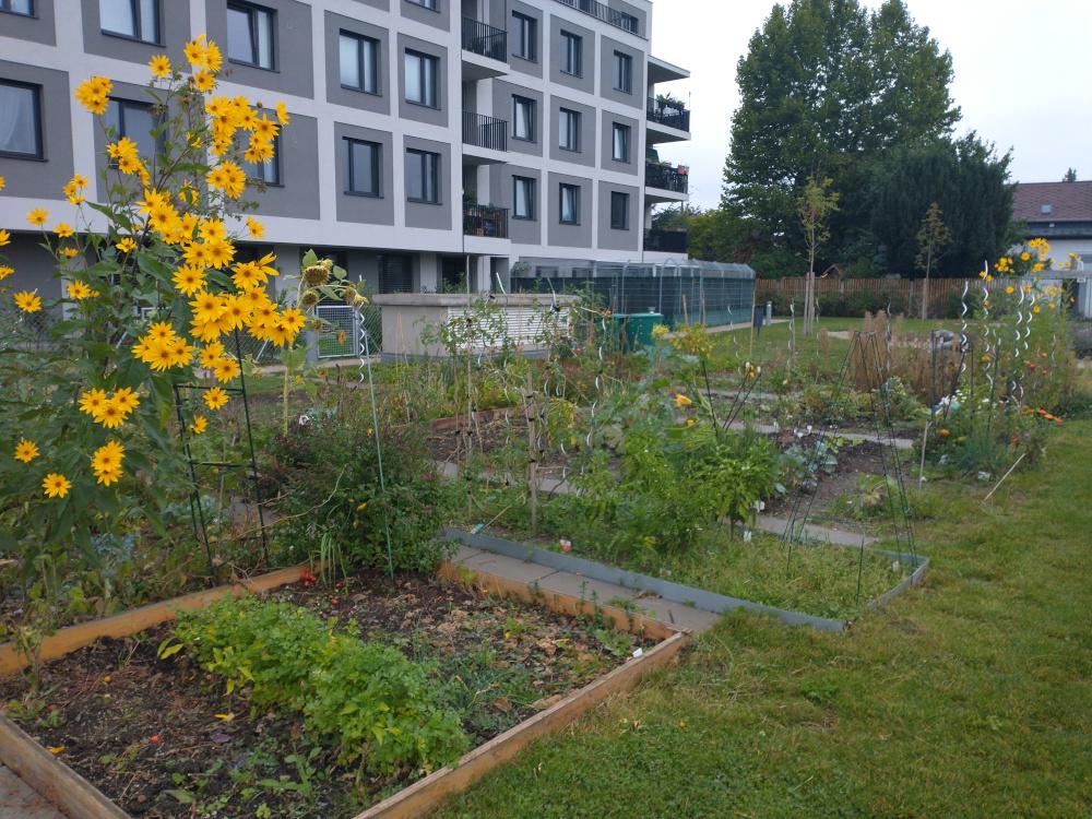 gemeinschaftsgarten03 27092021 1000